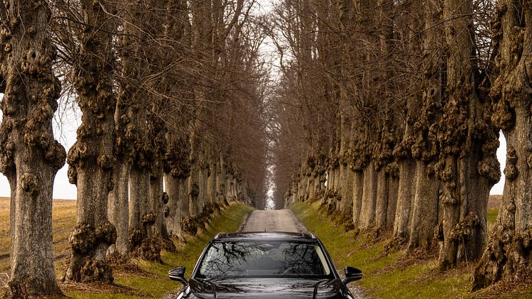 Passat 1,5 eTSI Elegance