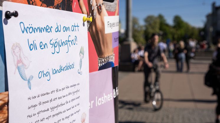 tui_note_sjöjungfru.jpg