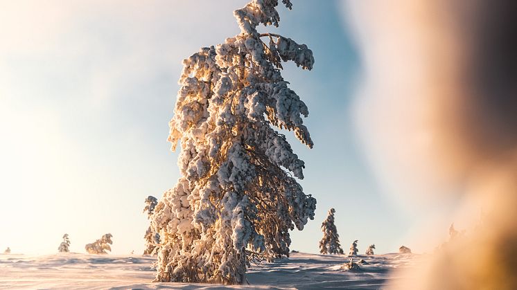 Sälen snö januari 2021
