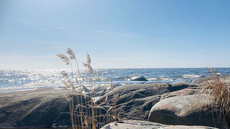 21_Hammarö sydspets_Stor_Margareta Wallsten.jpg