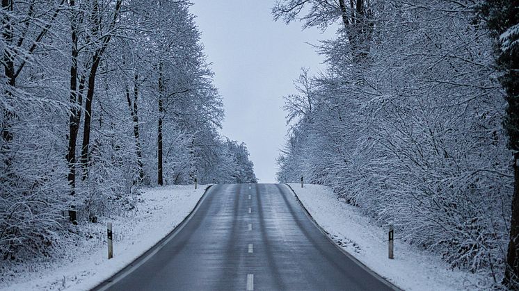 Julbokningarna upp med 300 procent jämfört med i fjol