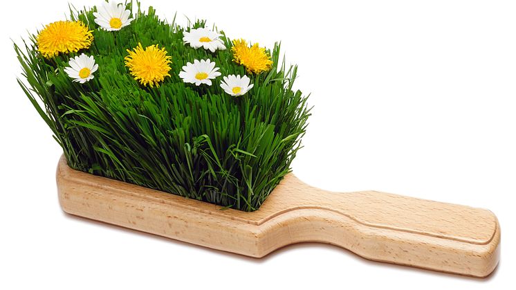 Spring-board into recycling