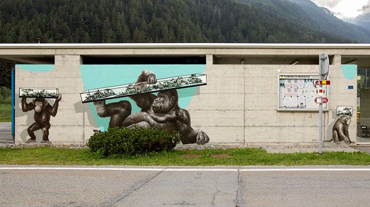 Zoo di Messocco Pian San Giacomo, Misox, Graubünden