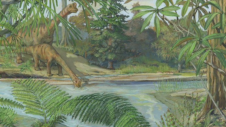 Rekonstruktion av ekosystem i Sverige under jura (för ca. 160 miljoner år sedan). Illustrationen är baserad på växtfossil från Fyledalen, Skåne vilka bevaras i Naturhistoriska riksmuseets samlingar.  Bild Naturhistoriska riksmuseet och Michael Rothma