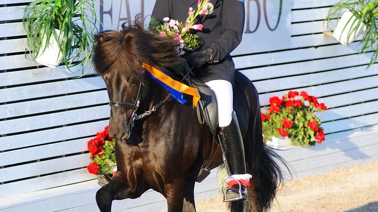 Fortsatt satsning på Falsterbo Icelandic Power presented by Agria under Falsterbo Horse Show!