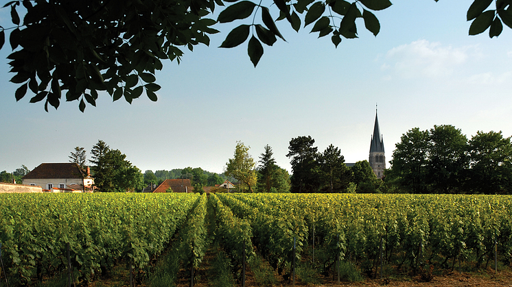 ​Nu lanseras Laurent-Perrier La Cuvée Brut – en unik huschampagne av högsta klass