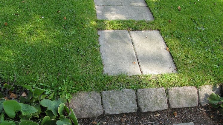 Involvera parkarbetarna i parkens framtid! 