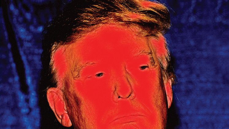 The Trump Chronicles EP - The Dowling Poole