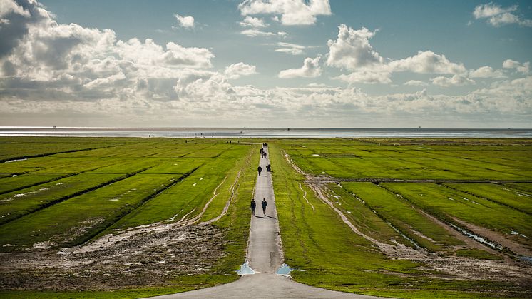 Westerhever, Osteruten