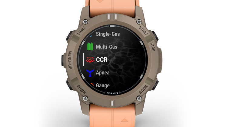 Garmin_Descent G2_Paloma_2.png