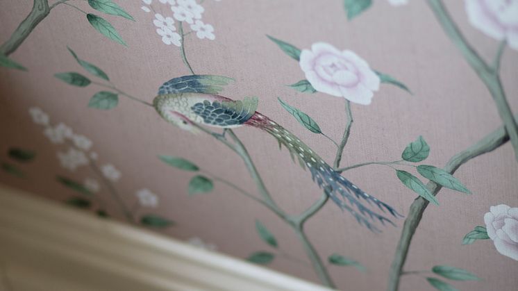 Oriental Dreams - Paradise Birds