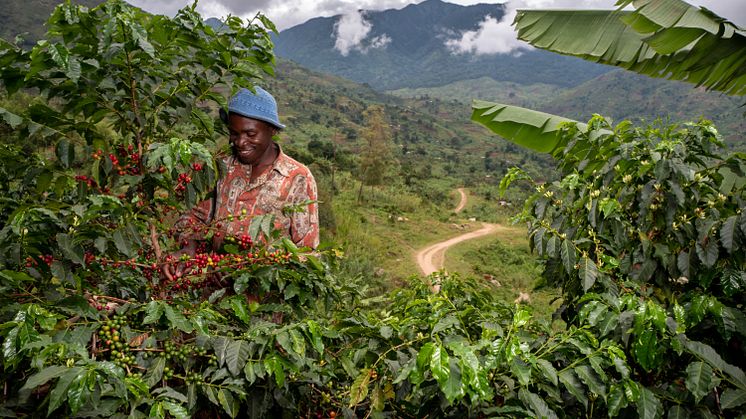 Nespresso utökar serien Reviving Origins - Uganda är äntligen tillbaka på kaffekartan