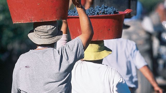 Harvest 3