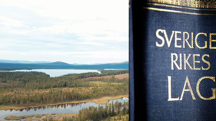 LRF Konsult hjälpte skogsägare till vinst i domen om fjällnära skog