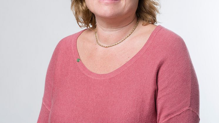 Skåne måste göra mer för att lösa krisen