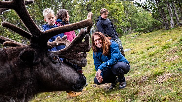 Renbiten_Reindeers_fotoTobbeNilsson_VisitDalarna