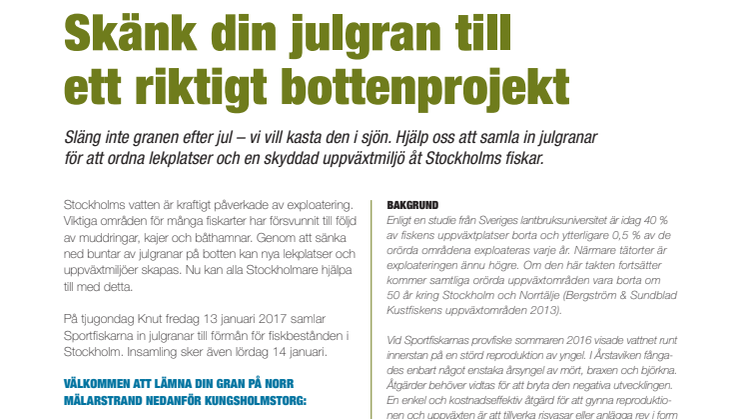 Skänk din gran till ett bottenprojekt!