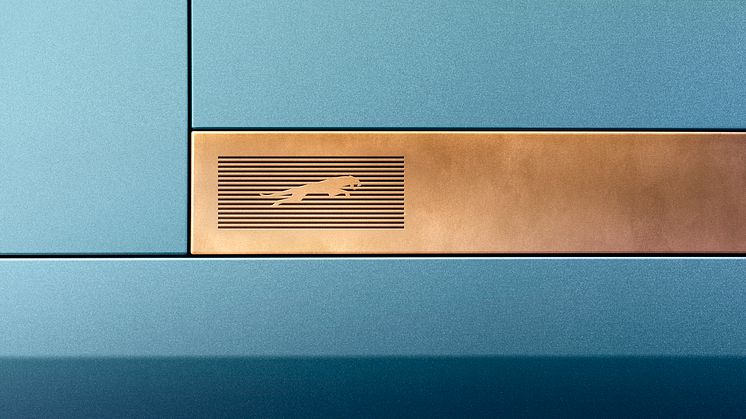 Design Vision Leaper on side Blue SH017_16x9.jpg