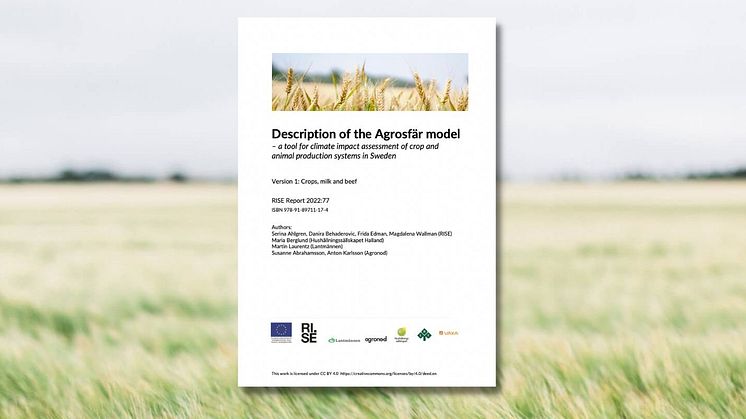 Rapport: Beräkningsmodellen i Agrosfär