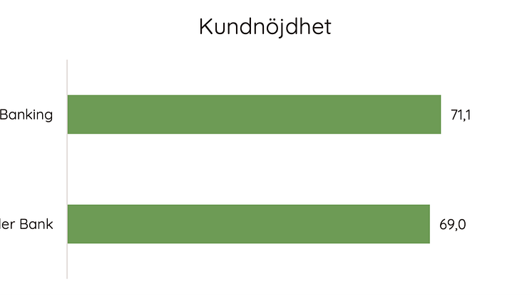 Kundnöjdhet.png