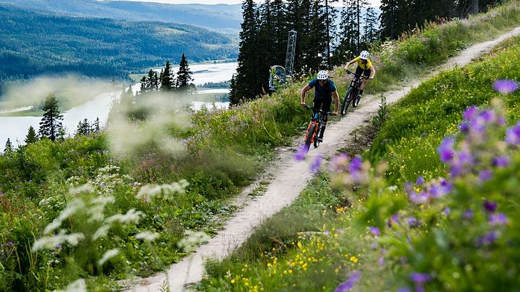 Bild Åre