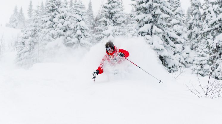 Trysil - pudder 