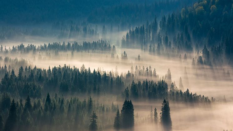 Solör Bioenergy successfully completes a SEK 22bn long term financing
