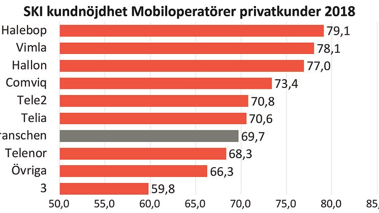 Vimlas och Halebops kundnöjdhet ökar mest bland privatkunderna och visar att starka nischade varumärken sticker ut.  SKI kundnöjdhet mäts på en skala 0-100 där över 75 är mycket nöjda, 60-75 nöjda och under 60 missnöjda.