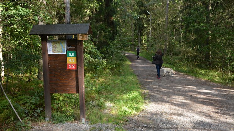 Motionsspår Rösjöskogen