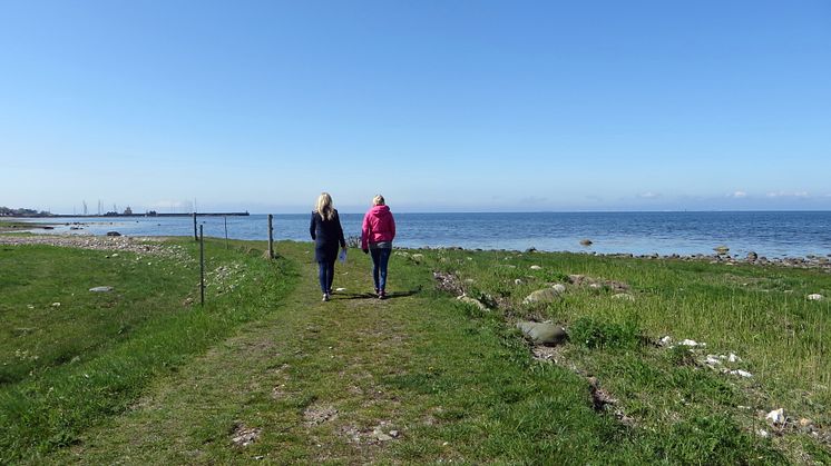 Skåneleden är en fantastiskt vacker vandringsled längs kusten i Kävlinge kommun.