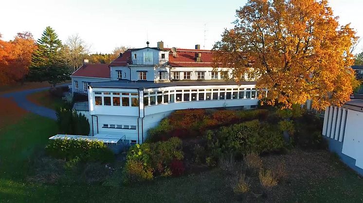 Lovik