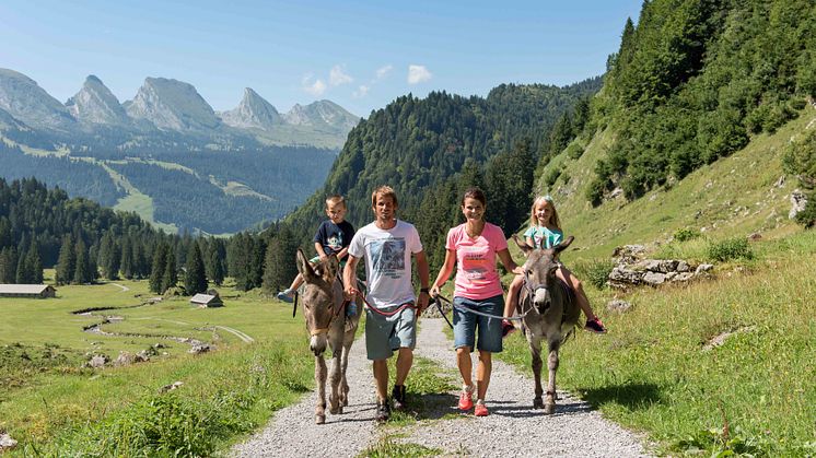 Eselreiten im Toggenburg