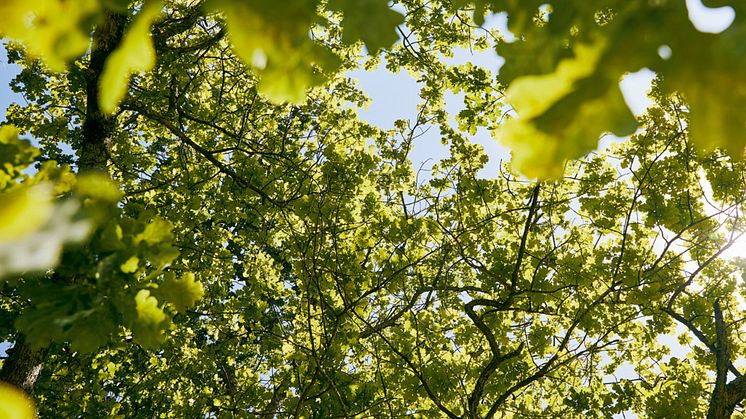 STIHL sigter efter en materialegenanvendelsesgrad på over 85 procent i sine produkter og mindsker forbruget af plast med 194,4 tons pr. år.