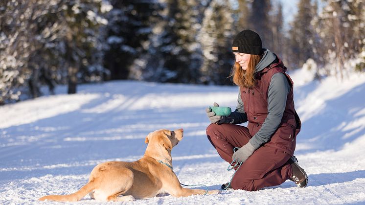 Dog sport's väst