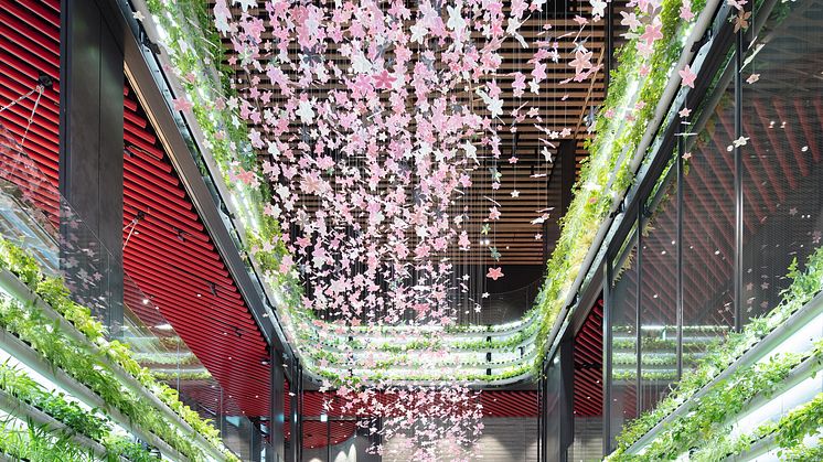 HANASAKA SQUARE_2M