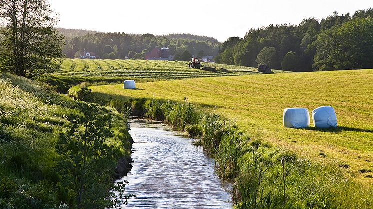 Genrebild, landskap. Foto: Thomas Adolfsén /Scandinav bildbyrå.