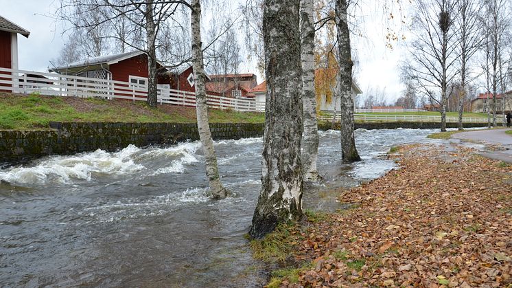 Blött, blåsigt och varmt ger bättre förutsättningar inför vintern