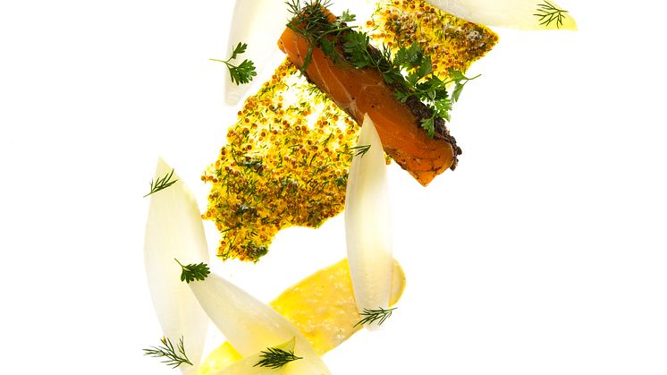 salmon - Per Thostensen - fotograf: Emmanuel Nguyen