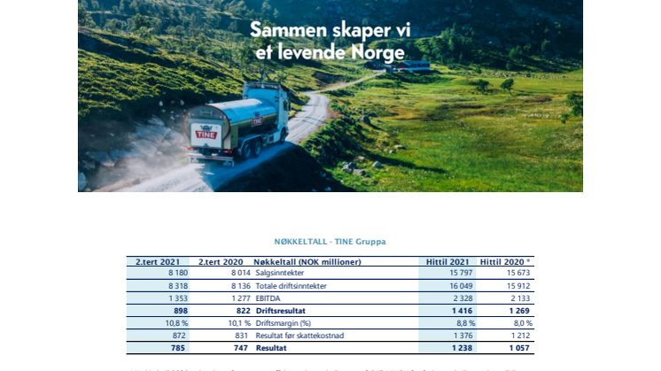 TINE Gruppa 2. tertial 2021.pdf