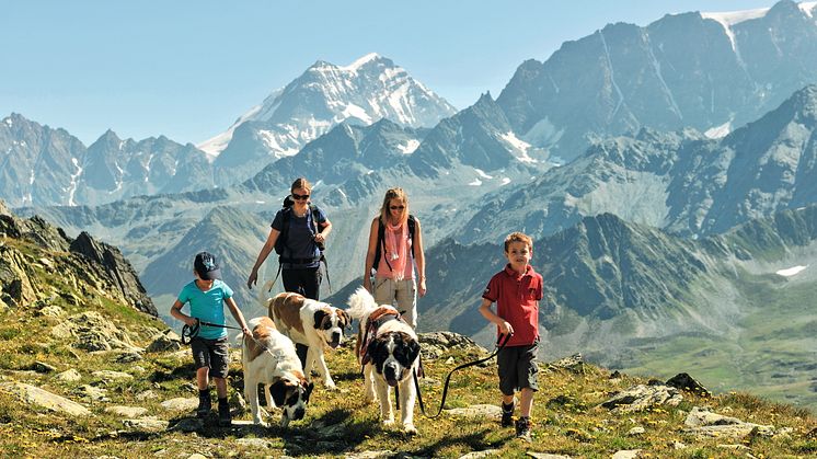 VS_Bernhardinerwanderung © Schweiz Tourismus