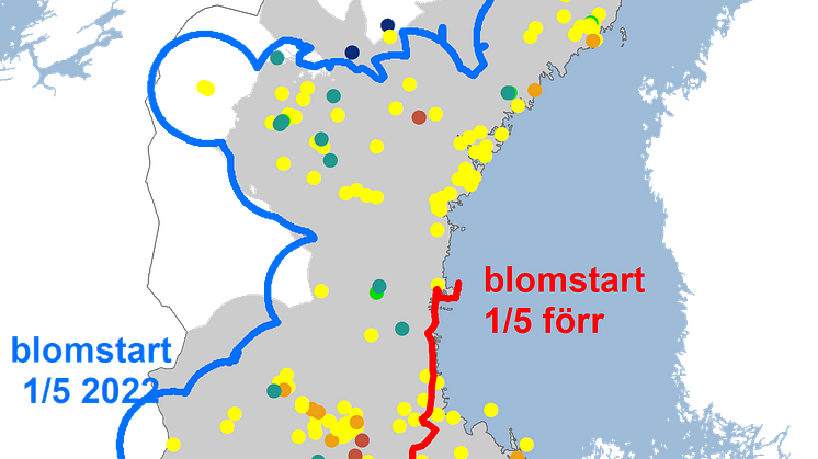 sälg2022