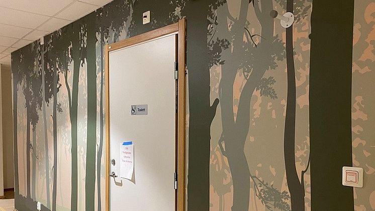 Tapeten har kommit upp. Naturens färger, material och en 10 kvm stor växtvägg är centrala element i Parkdalaskolans interiör. På bilden syns en vägg utanför toaletterna med en tapet med skogsmönster.