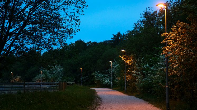 Trygg belysning för både människor och djur vid Klagshamns udde.  