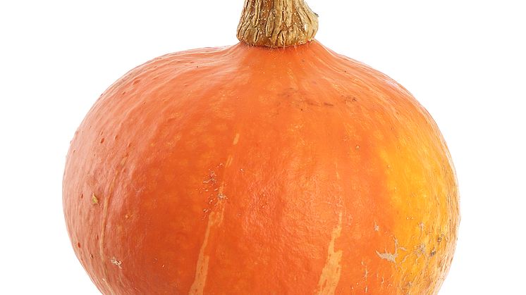 Matpumpa Hookeido