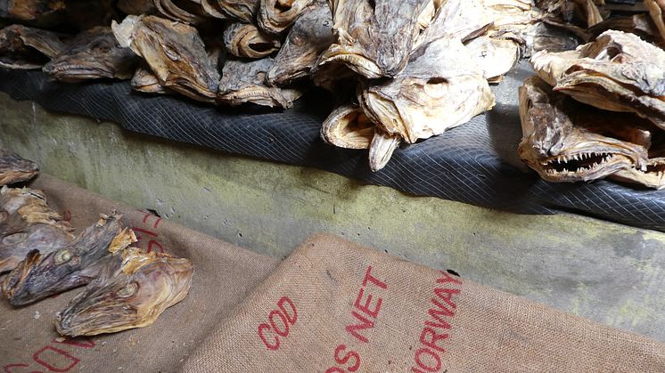 Norsk tørrfisk på marked i Nigeria