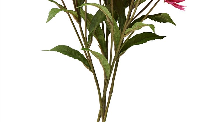 NYHET! Twig Daisy 58 cm Mixed colors 2,99 EUR.jpg