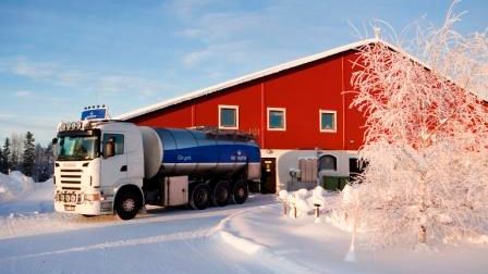 Norrmejerier höjer betalningen till bönderna - Konsumenternas val ger bonden mer betalt