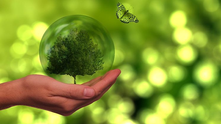Northumbria ranks first-class for sustainability in the UK