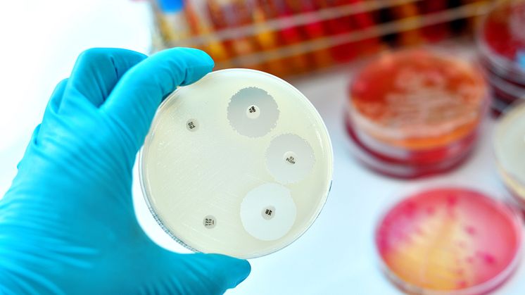 Antibiotikaresistenta bakterier är ett växande problem globalt. Foto: jarun011/iStock