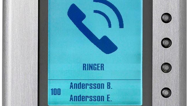 Ringa 1307
